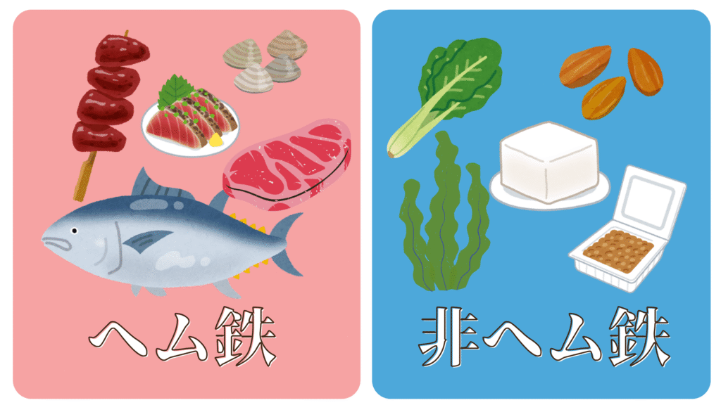 鉄を多く含む食品